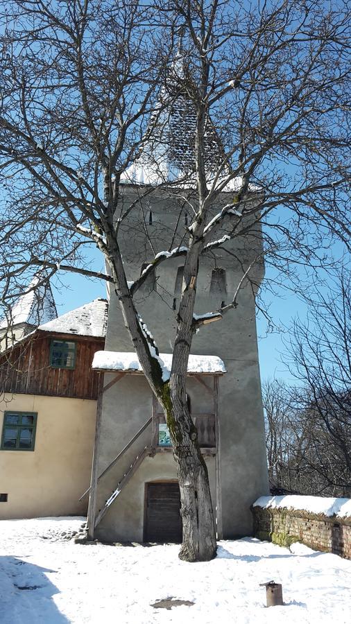 Apartamento Casa Marcus Sighişoara Exterior foto