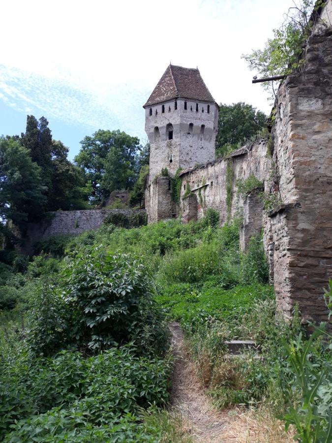 Apartamento Casa Marcus Sighişoara Exterior foto
